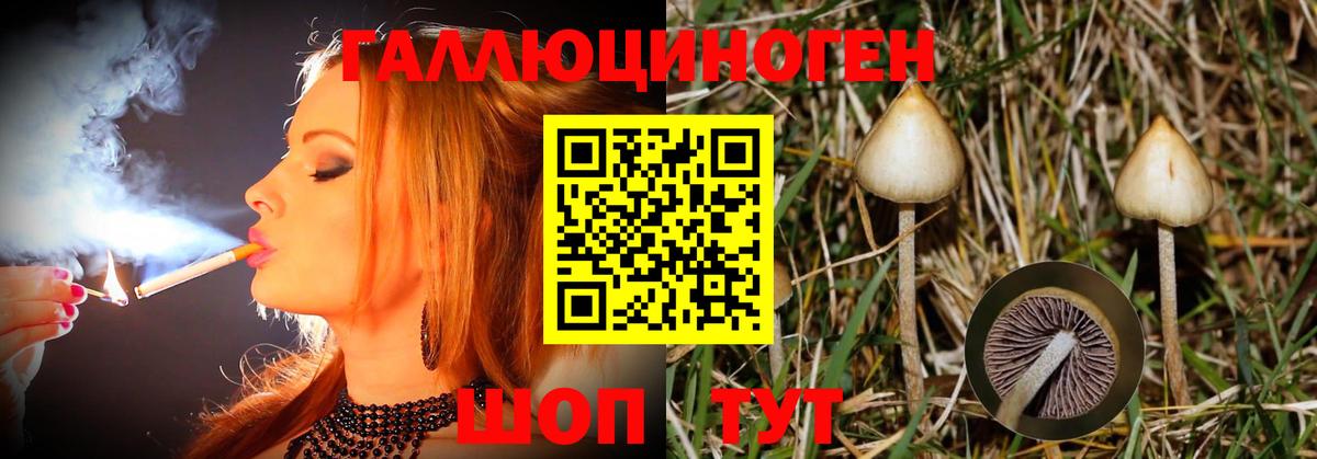 Галлюциногенные грибы MAGIC MUSHROOMS  Галлюциногенные грибы мухоморы  Дивногорск  Вход с VPN 